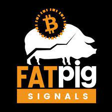 fat pig signal